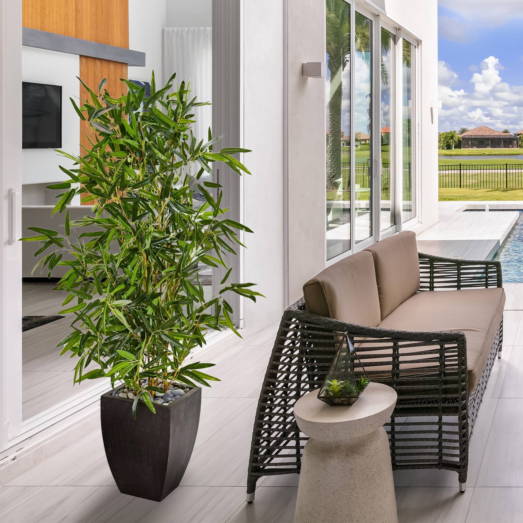 5ft. Bamboo Tree in Black Planter